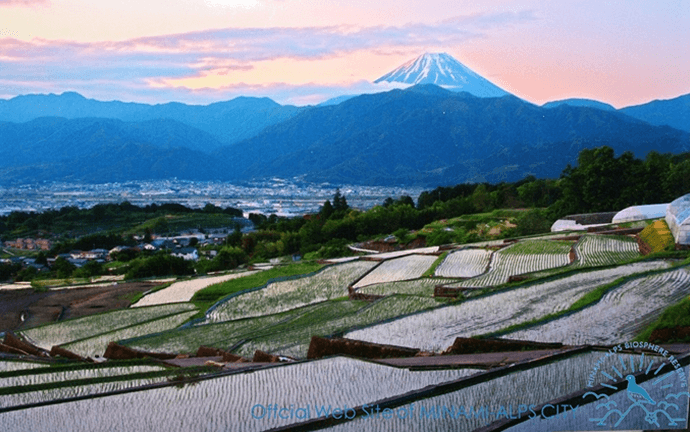 南アルプス市　絶景棚田