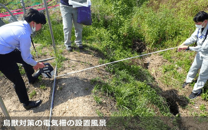 神戸市役所　鳥獣対策分野