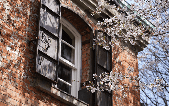 東京芸術大学　外観