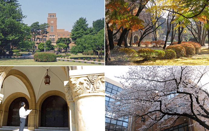 国立大学法人一橋大学　風景
