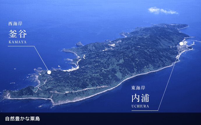 粟島浦村の自然