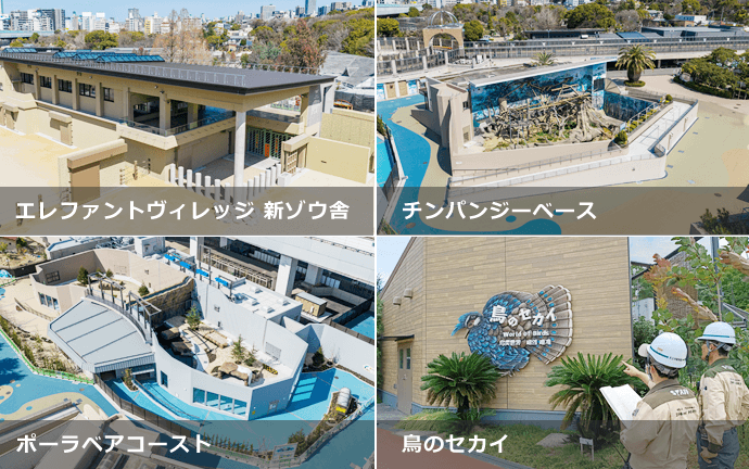 天王寺動物園が進める施設整備について