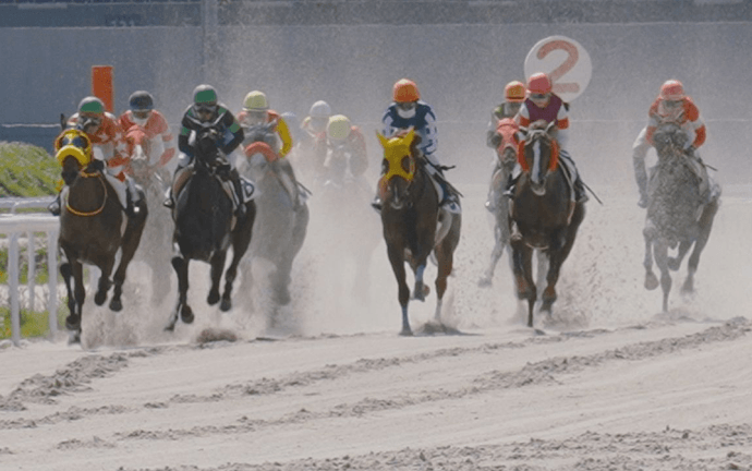 名古屋競馬場でのレースの様子