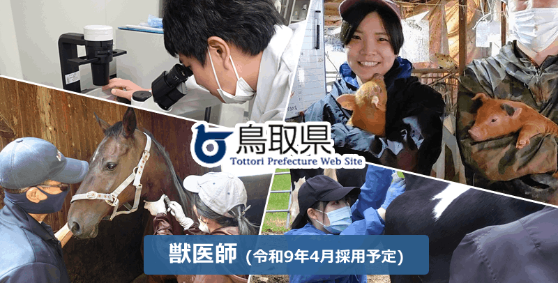 鳥取県庁の獣医師・令和9年4月採用の採用試験・求人